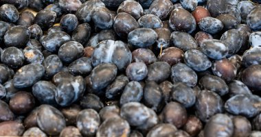 Satılık bir vitrinden mavi erikler.