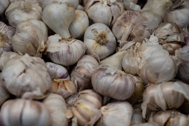 Arka plan ve doku olarak satılık kuru sarımsak.