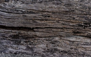 Arkaplan ve doku olarak ahşap yüzey.