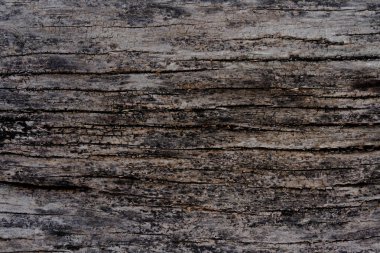 Arkaplan ve doku olarak ahşap yüzey.