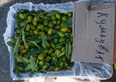 Satılık Kumquat kutusu