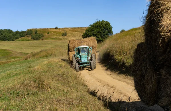 Transporte de heno en coche — Foto de Stock