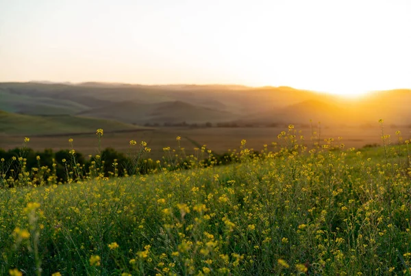 Dağ eteklerindeki güzel manzara