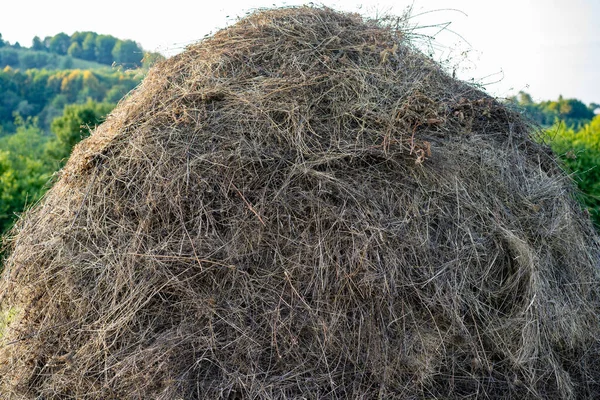 Haystack en otoño tiempo soleado — Foto de Stock