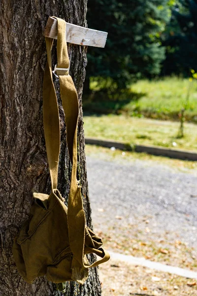 Bolsa de camping colgada de un árbol — Foto de Stock