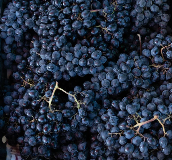 Grapes in a box for sale