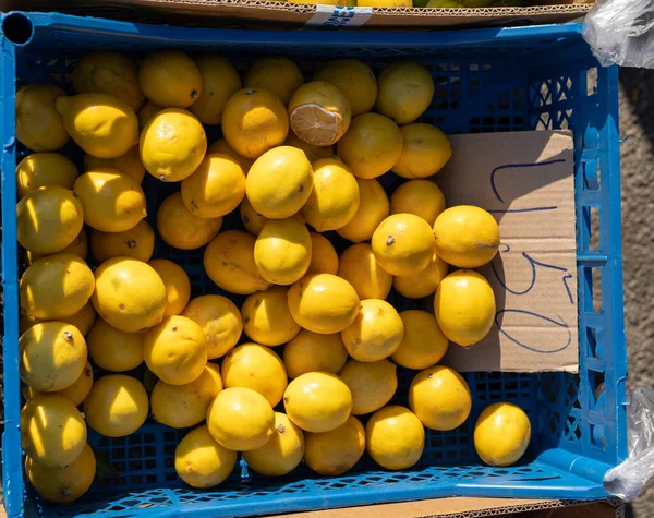Лимоны на стойке для продажи — стоковое фото