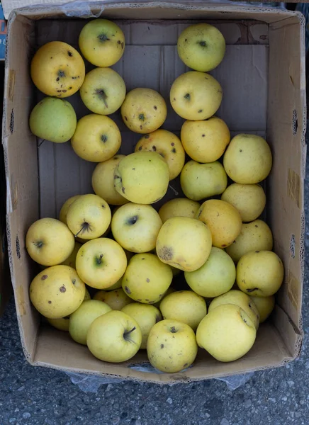 Яблоки на стойке для продажи — стоковое фото