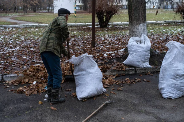 Bir adam bahçeyi temizler ve süpürür.