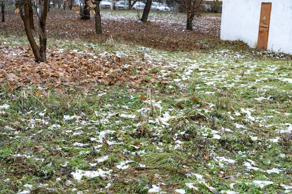 Herbe verte, feuilles jaunes et neige — Photo