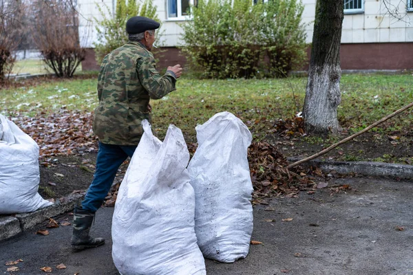 Bir adam bahçeyi temizler ve süpürür.
