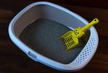 Kil ve spatulalı kedi tuvaleti.