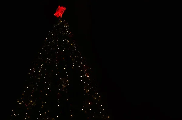 Karácsonyfa fények a sötétben — Stock Fotó
