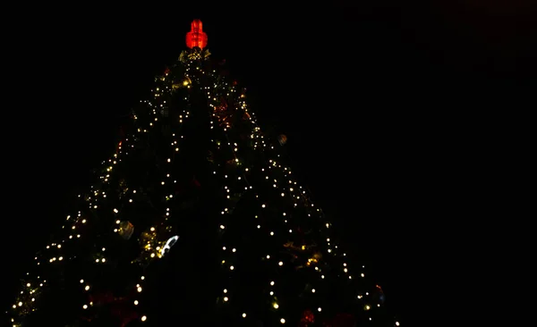黑暗中的圣诞树灯 — 图库照片