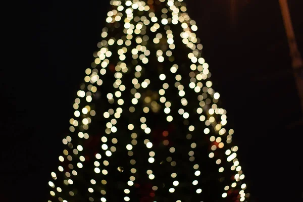 黑暗中的圣诞树灯 — 图库照片