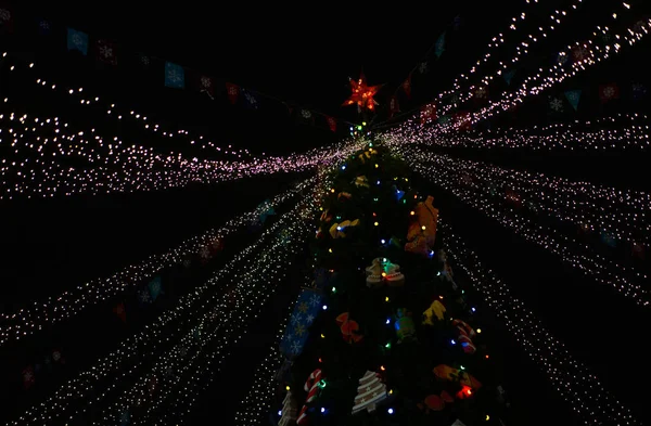 Vánoční stromeček v noci zdobený hračkami a neonovými světly — Stock fotografie