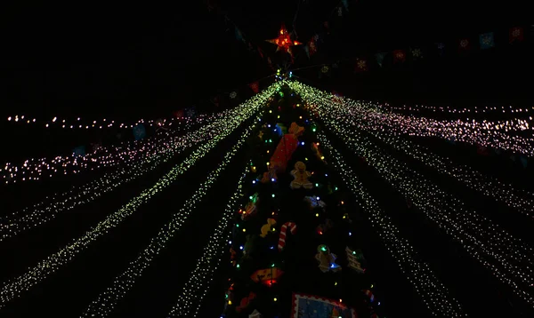 Διακόσμηση με φώτα στο χριστουγεννιάτικο δέντρο — Φωτογραφία Αρχείου
