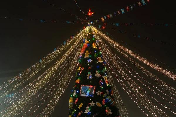 Decorações com luzes na árvore de Natal — Fotografia de Stock
