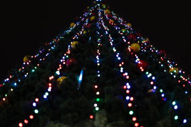 Oyuncak ve ışıklarla süslenmiş Noel ağacı