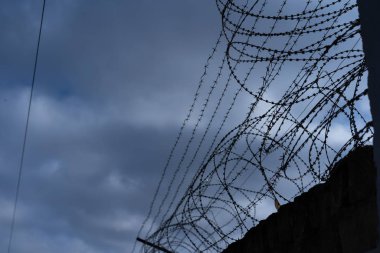 Barbed wire along the fence