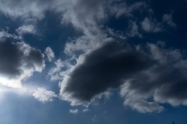 Turtle in the sky from the clouds — Stock Photo, Image