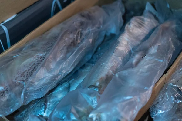 Fish in plastic bags in large numbers — ストック写真