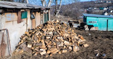 Arka bahçede yakacak odun yığını