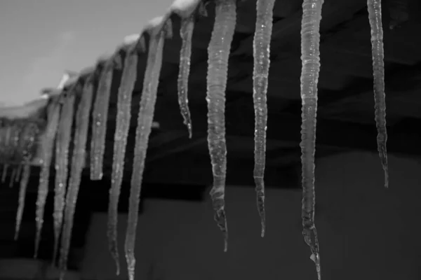 Icicles Hanging Roof — Stock Photo, Image