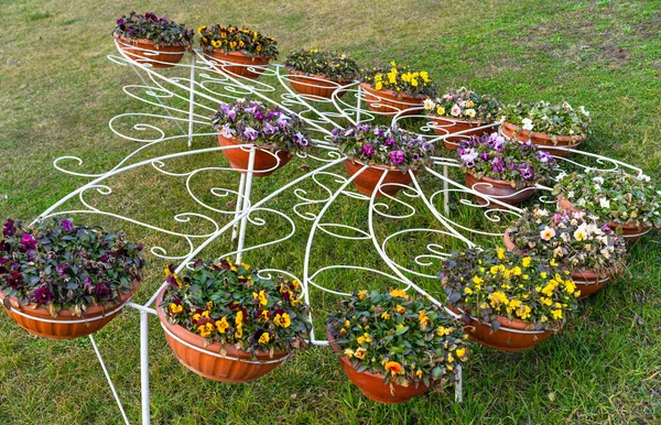 Potted flowers forming a butterfly outline