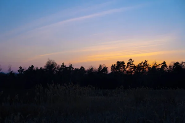 Prachtige Zonsondergang Achter Bomen — Stockfoto