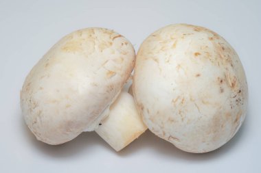 Beyaz arkaplanda mantarlar