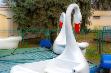 Çocuk kuğular için parkta çekim gücü