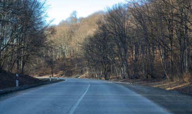 Ormana giden yol.