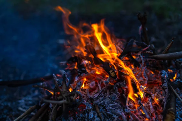 Bonfire Fire Ash — Stock Photo, Image