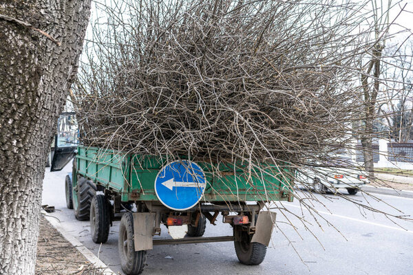 В вагон загружаются ветки деревьев
.