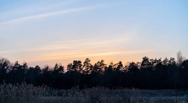 Закат Лесами — стоковое фото