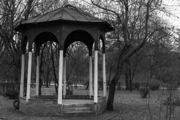 Gazebo Dans Parc Printemps — Photo