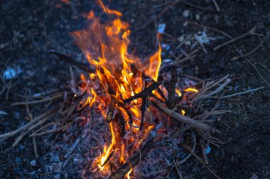 Ateş çubukları ve külleri olan küçük şenlik ateşi.
