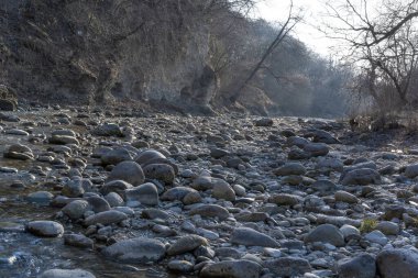 Nehir kenarında bir sürü taş var.