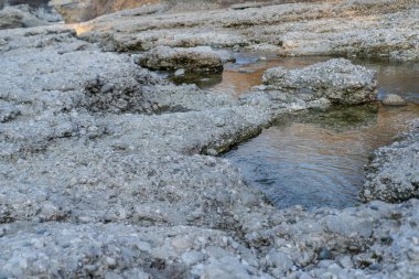 Temiz bir dağ nehrinin kayalık kıyısı