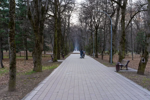 Gente Cammina Parco Lungo Vicolo — Foto Stock