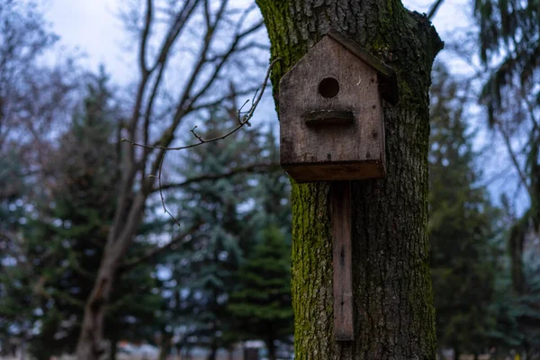 Altes Vogelhaus Auf Einem Baum Montiert — Stockfoto