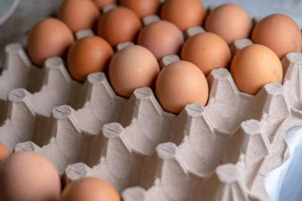 Güvenli Depolama Için Hücrelerde Yumurtalar — Stok fotoğraf