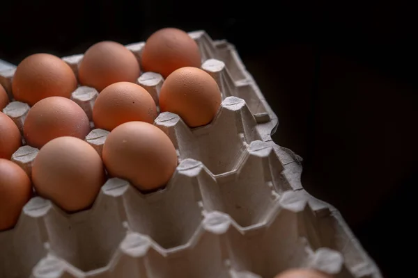 Güvenli Depolama Için Hücrelerde Yumurtalar — Stok fotoğraf