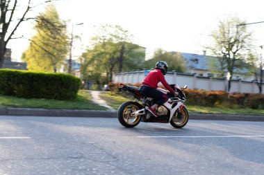 Yorkshire Teriyeri tasmalı bir yürüyüş yapıyor