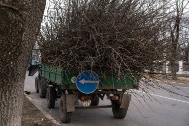 Yol boyunca ağaç dalları kesiyor.