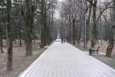 İnsanların yürüdüğü parkta bir sokak.