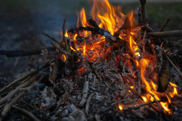 Égő Tűz Hamuval Tűzzel — Stock Fotó