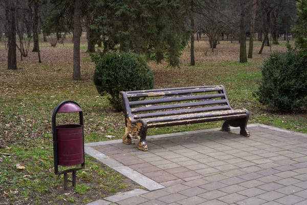 Bench Park Background Trees — Stock Photo, Image