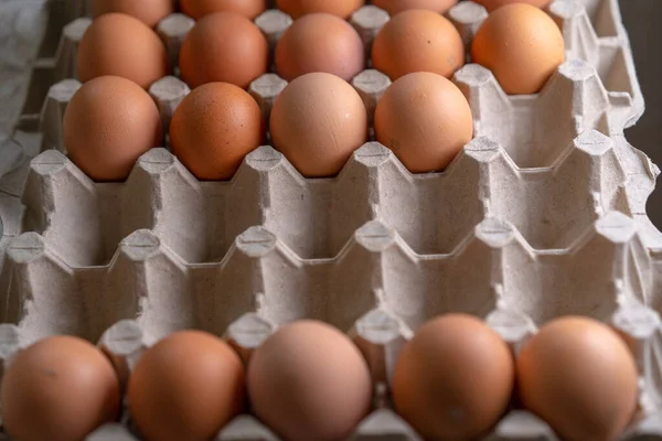 Pişirmek Için Kabuklu Tavuk Yumurtası — Stok fotoğraf
